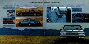 1977 Chevrolet Full Size (Cdn)-12-13.jpg
